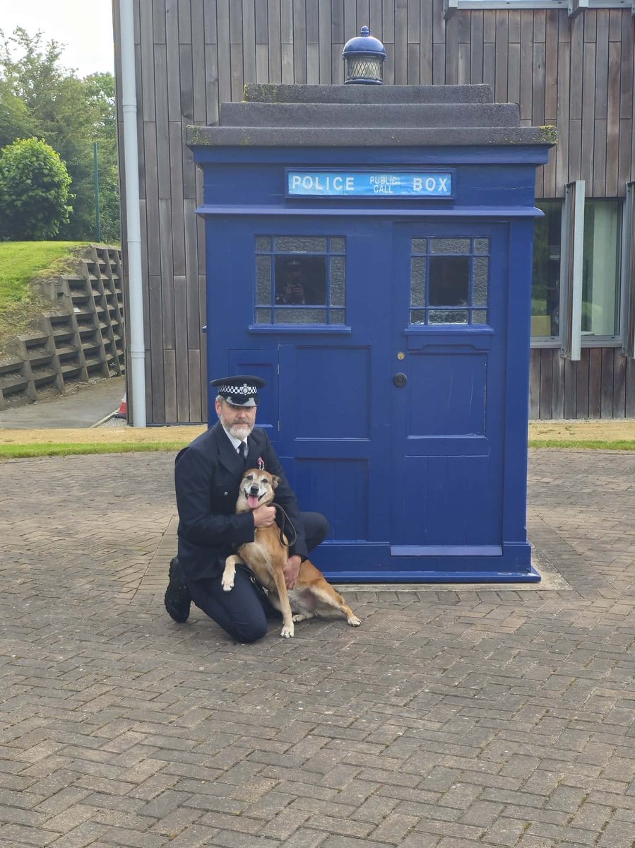 WYPDogs's tweet photo. At 9 and a half years of age, the time has finally come for PD Astra to hang up her harness and put her feet up.

Astra begun with WYP in 2017 when she was allocated to her handler at 9months old, going on to qualify from an initial course in 2018. 

During her 8 and a half years dedicated service, Astra has proved to be a formidable force. Despite weighing in at only 24kg, she went on to apprehend countless prisoners, proving that it's not the size of the dog in the fight, but the size of the fight in the dog. 

Despite her ferocious nature when working, she always had time for a cuddle in between jobs with her district team mates.

During her career, Astra has represented the force at the @Firesidek9 police dog trials, winning the event in her first year of service. She later went on to win the dog and handler of the year team for 2024.
Astra now looks forward to a life of sofa cuddles, treats, leisurely walks and belly rubs at home with her handler, whilst handing over the reigns to new boy PD Rico.

Congratulations, R/PD Astra. Enjoy that R, Wishing you a long and happy retirement girl! You've more than earned it ❤️❤️❤️