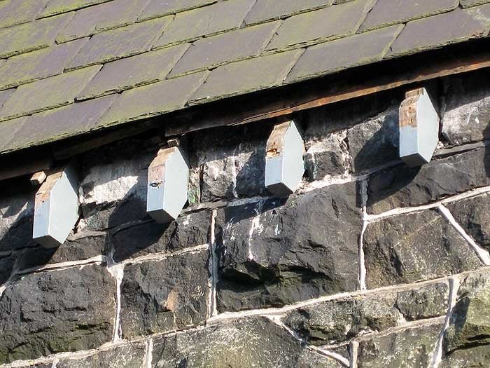 MarkSmyth1960's tweet photo. Very often I see people putting up swift nest boxes very wide apart. RSPB says they should be 1m apart. I better tell this colony to space themselves better
#apusapus #commonswift #actionforswifts #swiftconservation #saveourswifts #swiftconservationireland #northernirelandswifts https://t.co/jcYxiiKAHi