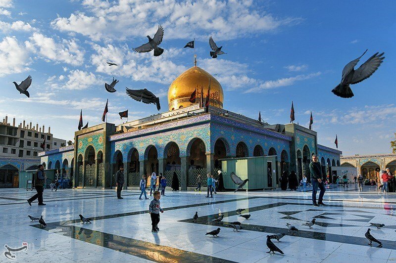 Amrou909's tweet photo. ليش ما ناخذ قبر السيدة زينب المزعوم  ونشلفو بالعراق ونخلص  
شنو إلي المانع؟ https://t.co/R3681Kdy3v