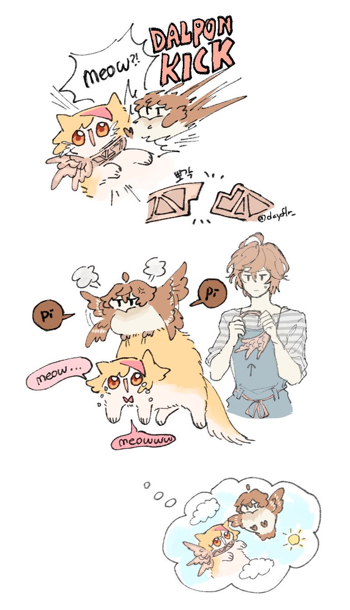 dayflr_'s tweet photo. #ネコのジータちゃん

angel ring https://t.co/oO65LGsjCv