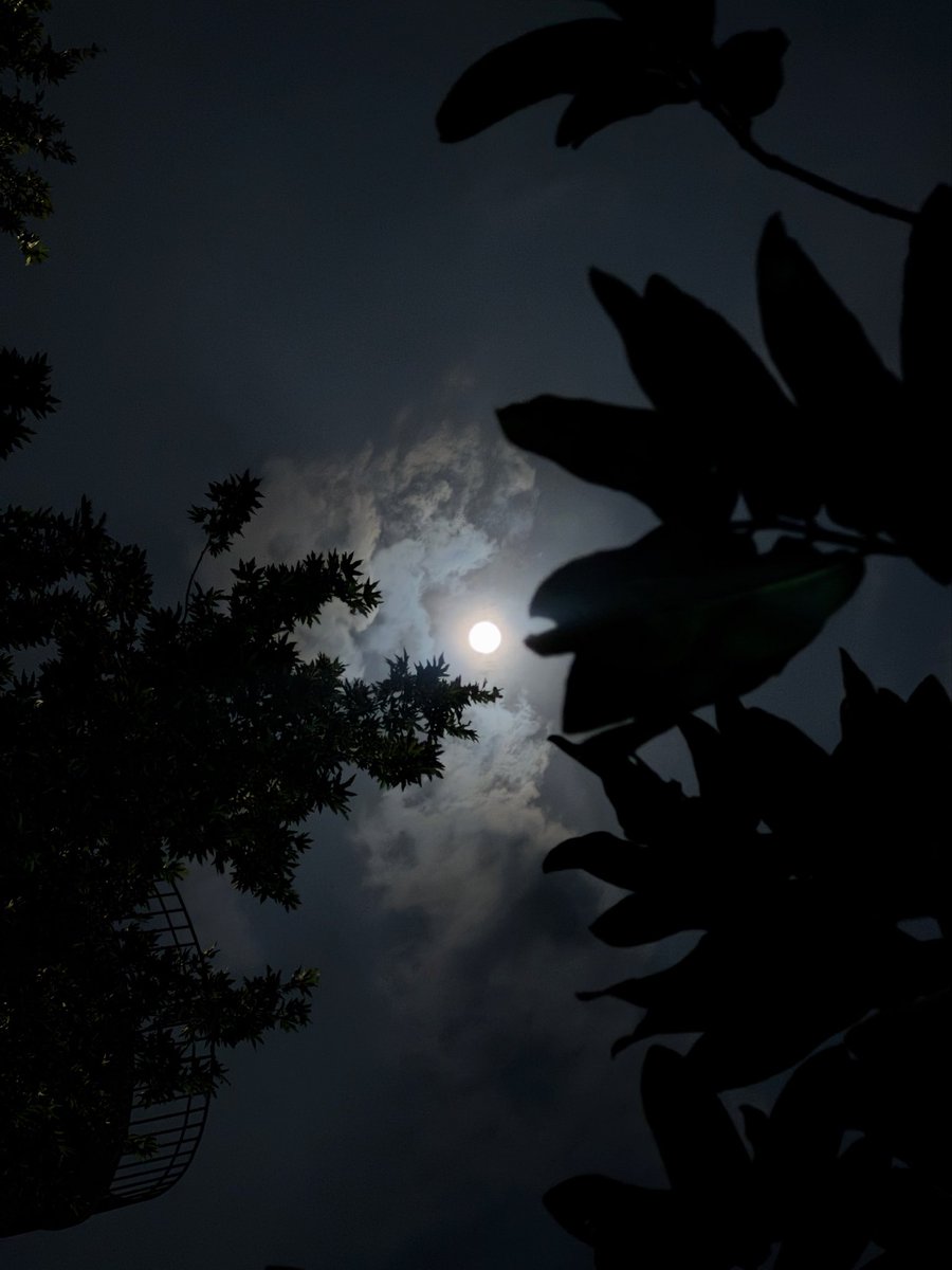camierayman's tweet photo. For the moon never beams, without bringing me dreams 
   Of the beautiful Annabel Lee; 

And the stars never rise, but I feel the bright eyes 
   Of the beautiful Annabel Lee; 

And so, all the night-tide, I lie down by the side 
   Of my darling—my darling—my life and my bride https://t.co/pDEJ1DS1ZO