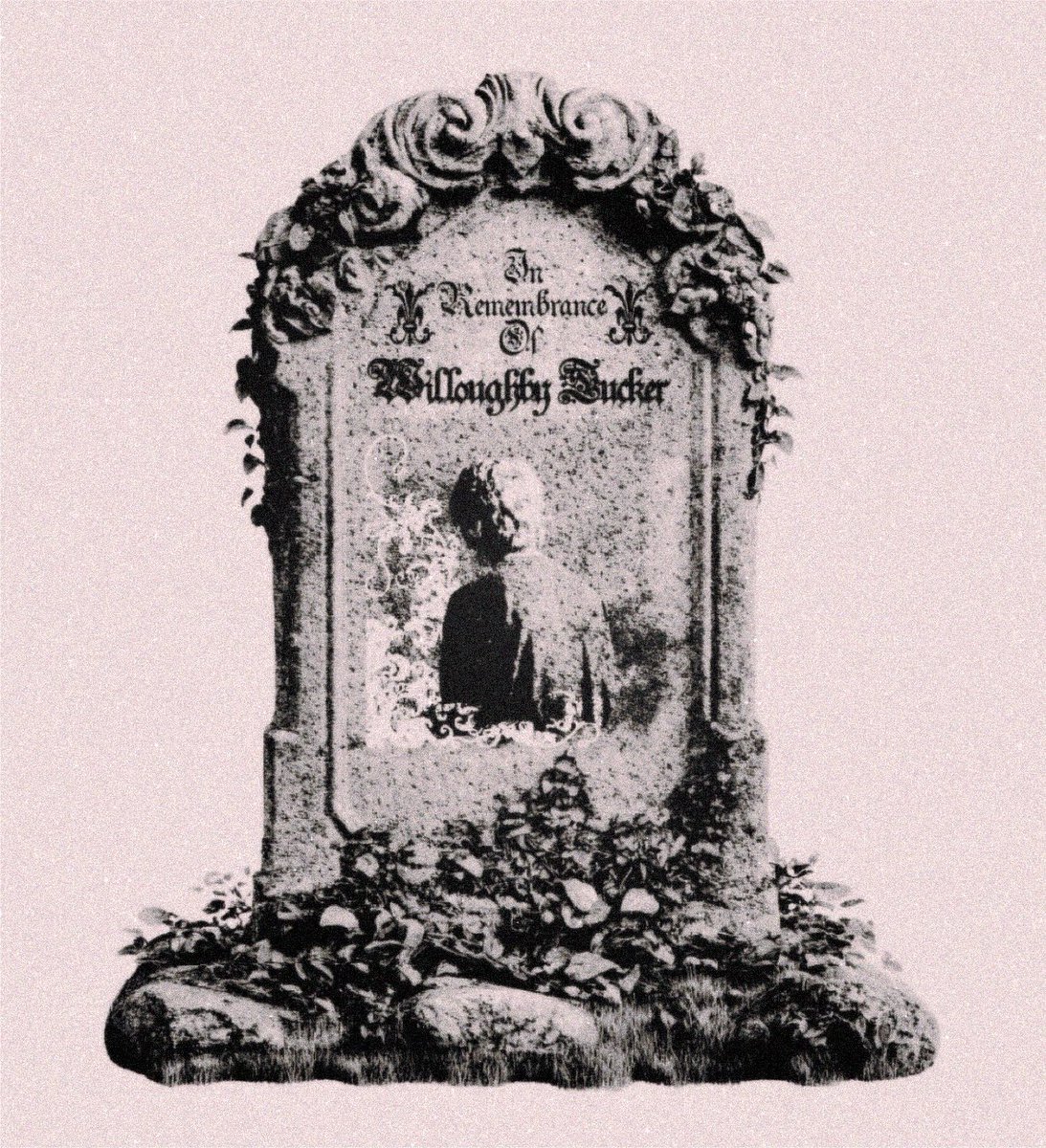 puerariawiine's tweet photo. in remembrance of willoughby tucker. 

august 8th 2025 - august 8th 2026. https://t.co/kYxvDeZZtW