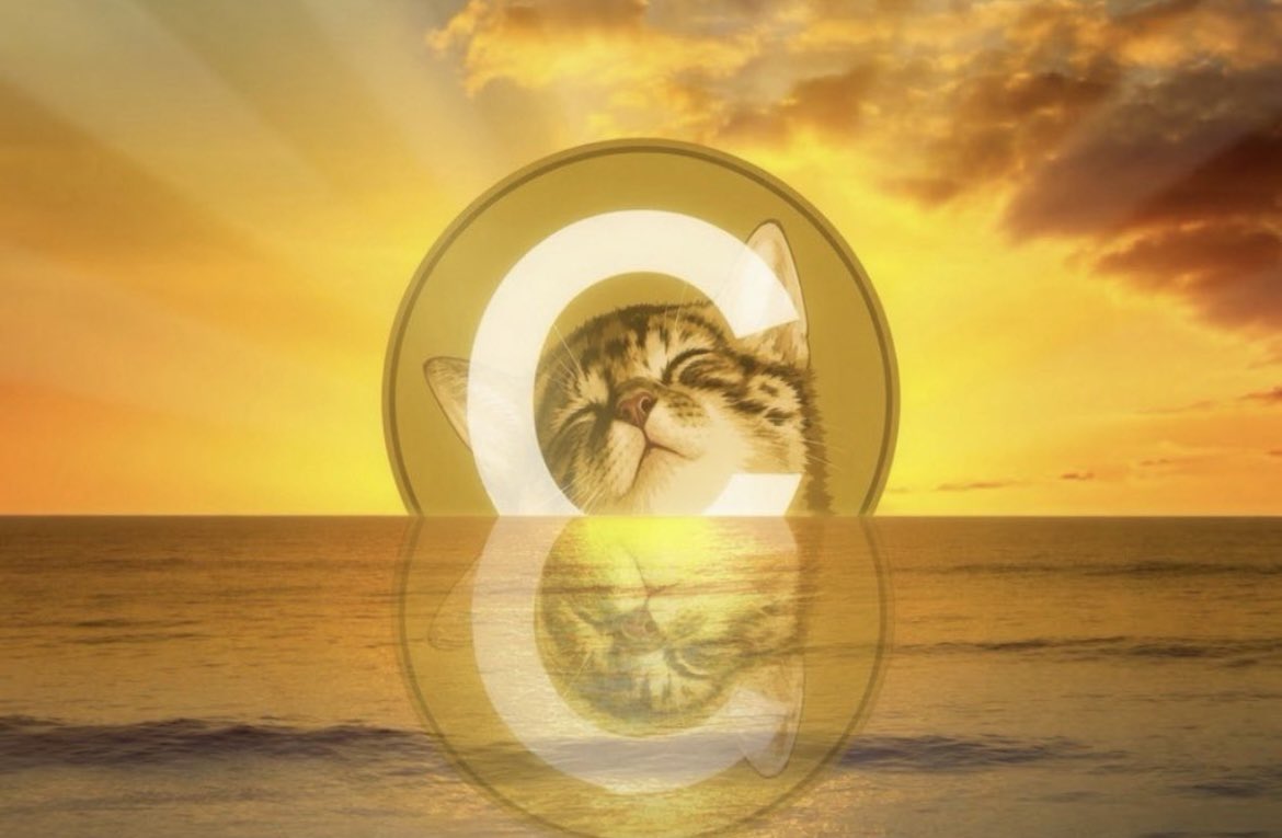patrickb0x's tweet photo. Poorgoat has $1.5M in his public wallet and bagworks $CATE like it’s his last chance to escape a 4-figure port.

Huge respect to @PoorGoat_ for showing up, giving it his all, talking in VCs and Spaces for hours, and doing everything in his power to send $CATE.

Imagine if everyone in his position did the same instead of using their motion to extract.

The most hated rally will come.

SEND THE CAT TO 10 FIGS 😼