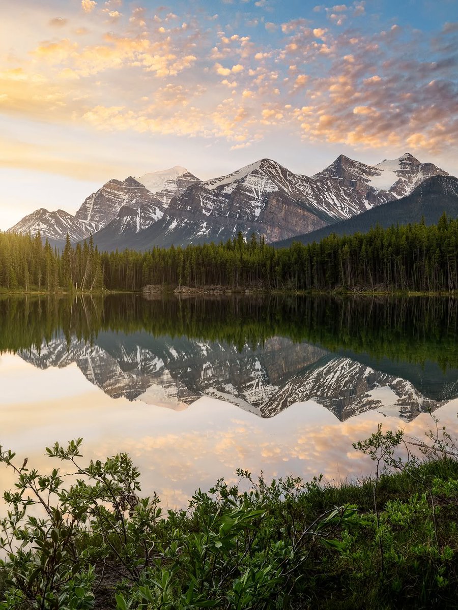 worldclick56's tweet photo. Alberta, Canada 🇨🇦 https://t.co/me9rjKlOm3