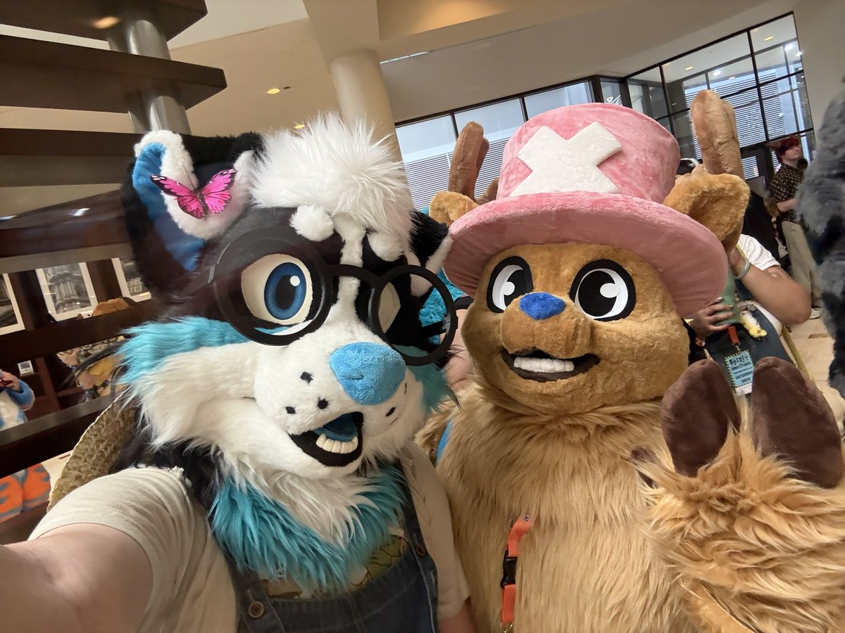 frizzcollie's tweet photo. holy shit met an icon today https://t.co/zoeAW3J2oe