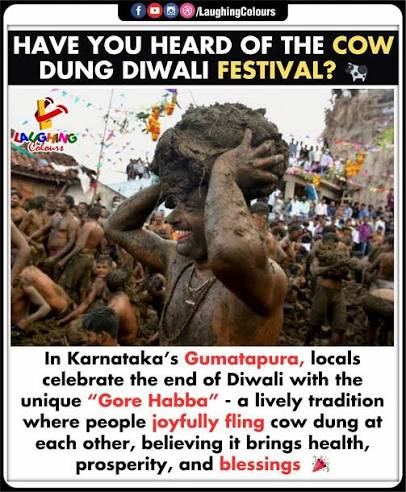 irapefa990ts's tweet photo. @kenchisusral27 @stopbrownhate you are a kannadigga. bigger fish to fry. https://t.co/pFVfji6sVH