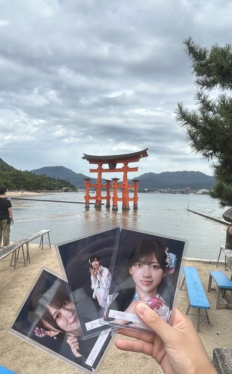 buddies111111's tweet photo. 宮島！！ https://t.co/2TwPBz2IOJ