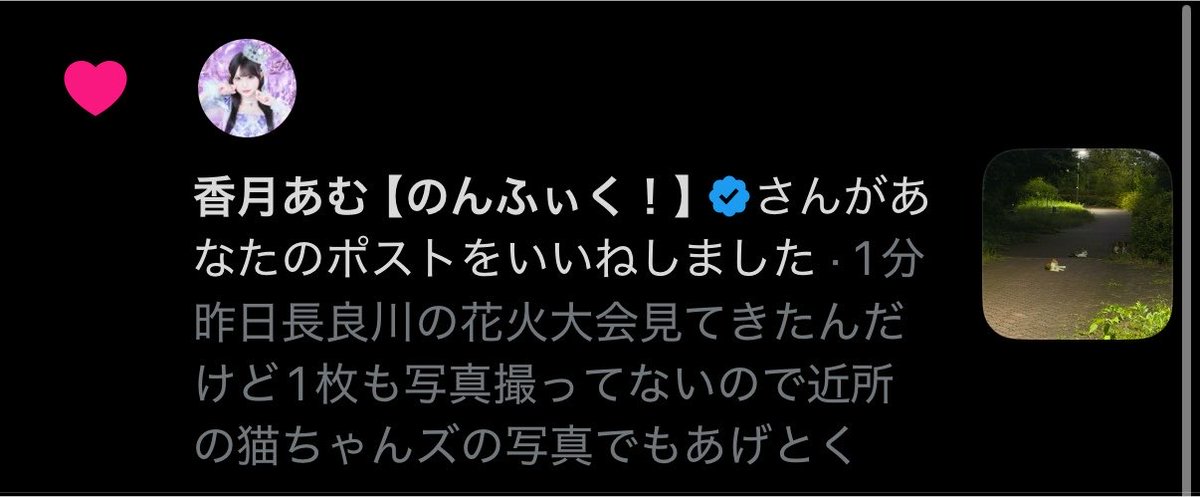 MocoTakaya's tweet photo. 自認猫の推しから最速いいね飛んできてるんるん😋 https://t.co/Xa0WVvwYip