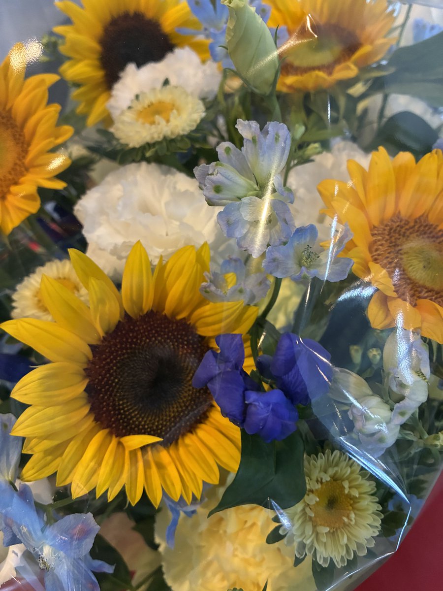 RIDEIN_R50's tweet photo. 今年もファンの方から素敵なお花が届きました、毎年ありがとうございます🌻🫶 https://t.co/EaRqmGuEar