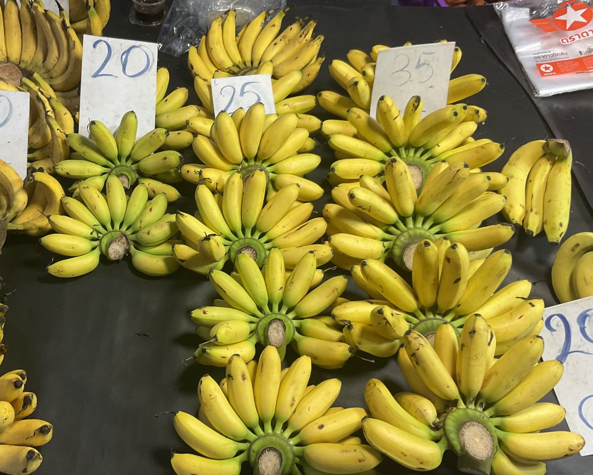 knakaji64's tweet photo. タイの果物市場は、安い。

40バーツの果物を見つけると、つい「もう一つ」と手が伸びる。

ところが60代、高血圧持ち。

食べ過ぎれば、相方からレッドカード。

安さを喜んでいるのに、買った後は食べる量で悩む。

これが南国フルーツとの戦いです。 https://t.co/lkSeOAMYuN