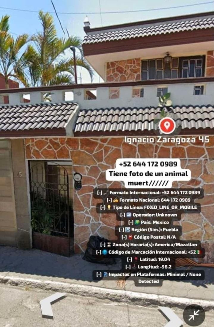 1070SDanielS123's tweet photo. +52 644 172 0989

REPORTEN A ESE HIJO DE LA GRAN PUTA ES UN PUTO PSICÓPATA MAL NACIDO DE MRD ESA PERSONA MATO A UN GATO INOCENTE,LO HIZO SUFRIR BASTANTE AL POBRE GATO Y MAS Q TODO SE PUSO FOTO DE PERFIL EN WHATSAPP SIMPLEMENTE ES UNA PERSONA TAN DESAGRADABLE DE MRD https://t.co/iWDK59Kv3u