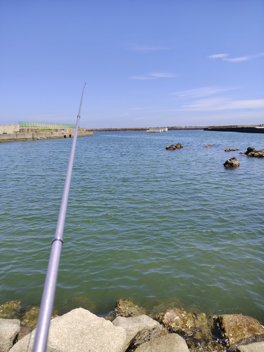 mottikou's tweet photo. 魚絶滅してた https://t.co/lne1rD3CoY