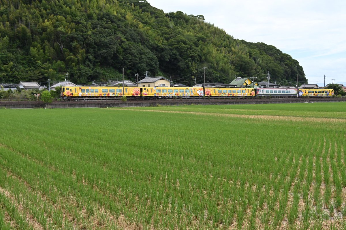 Yabicas0124's tweet photo. JR土讃線
(1枚目)土佐一宮→布師田 南風12号 42D 2700系 5B
(2枚目)布師田→土佐一宮 南風3号 33D 2700系 5B イエローアンパンマン
(3枚目)土佐一宮→布師田 5856D 9640系
令和8年8月9日(日) https://t.co/phCdofAXng
