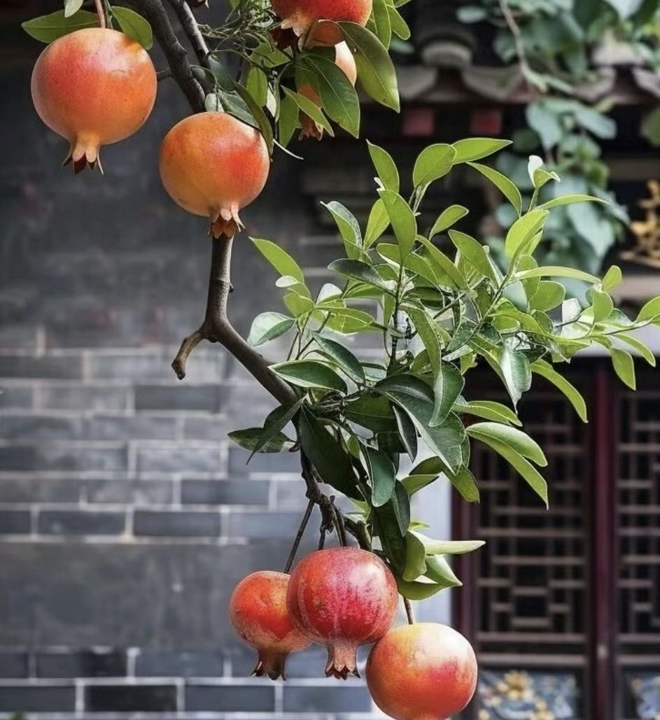 prettycheunghk's tweet photo. 又到秋天了，
春種秋收，
春夏你們種了什麼？
為什麼而努力？
現在又收穫了什麼？
時間從來不等人…… 

嘉样堪布 https://t.co/ZRbEGuQ5BN