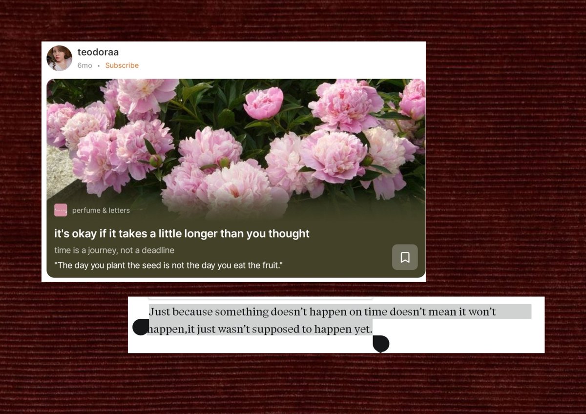 nawafiaa_'s tweet photo. haii haii aku mau rekomendasiin kalian substack article yang aku baca (part 1) https://t.co/7fJ3Nt8gx9
