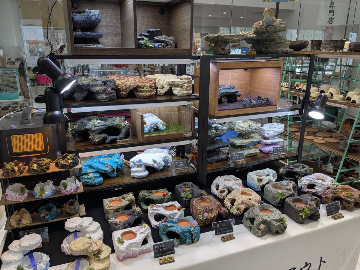 今日は近レプに出展させて頂きますー！