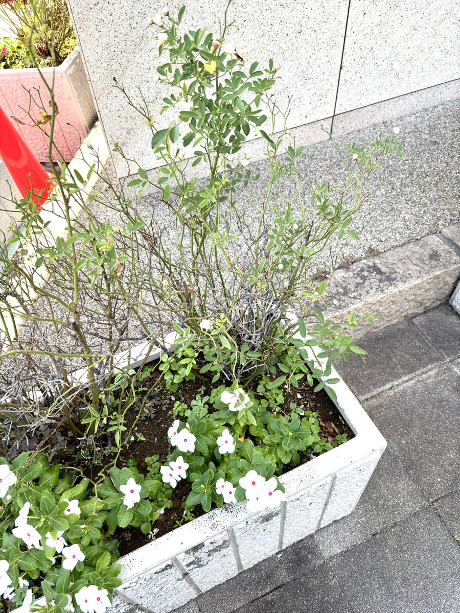 82li_night's tweet photo. わあ  かわいい  こんにちは https://t.co/BT352XZxQQ