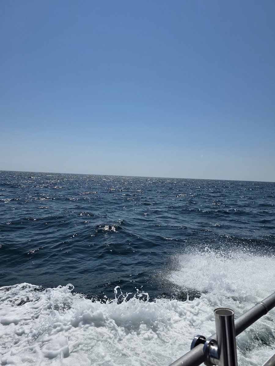 warn12g_2025's tweet photo. 今日は海に行った！ここにアザラシがいます！ https://t.co/4tR5v43pz4