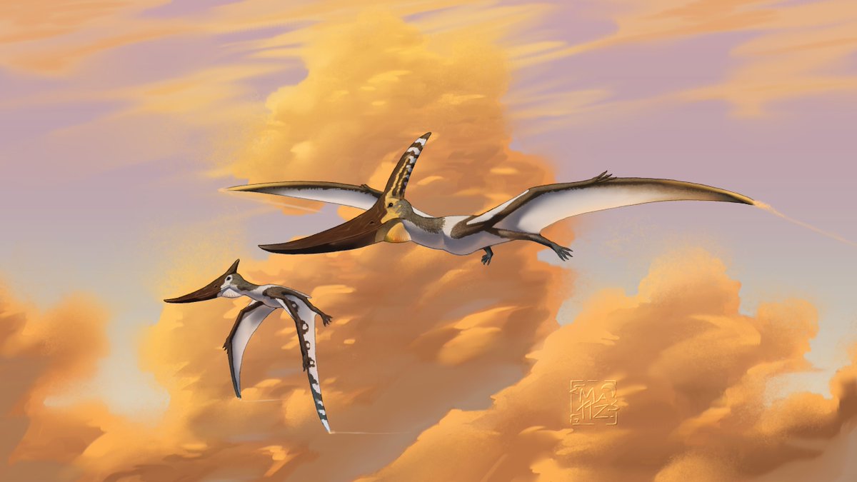 Mett_Santos's tweet photo. Pteranodon
#paleoart #digitalart #priorextinction #pterosaur https://t.co/hSmt2iTezv