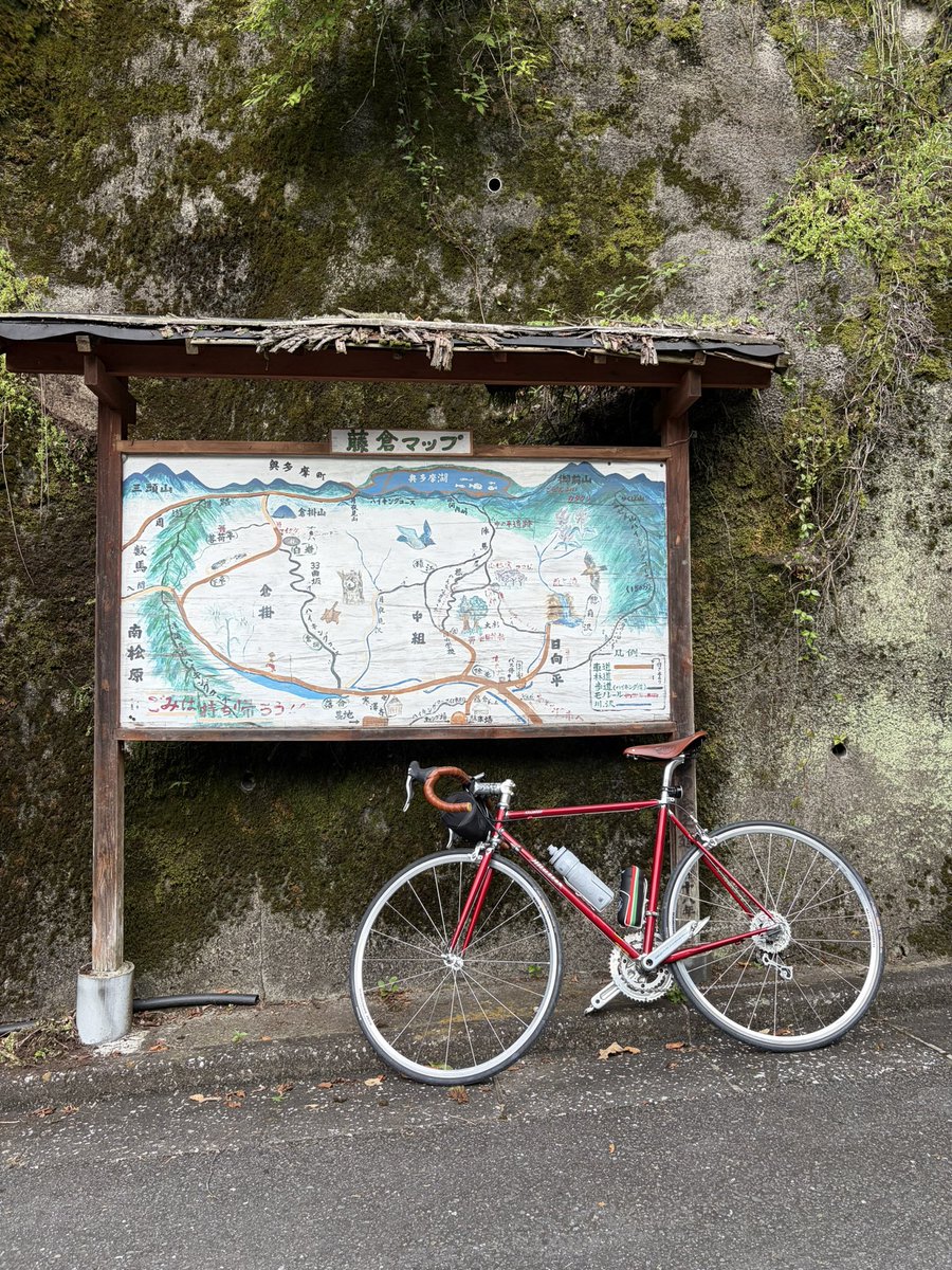 noicycle's tweet photo. 今日は藤倉まで🚴
途中路上にカブトムシがいたので避難させました😊 https://t.co/FOcHnu5cX8