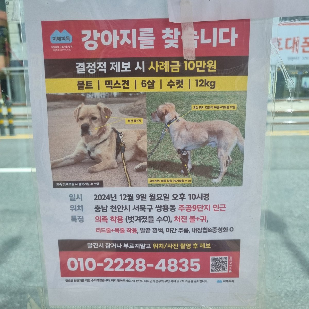 20180623bowwow's tweet photo. 작년 12월에 잃어버린거 친구인데 가족 찾았을까..?
버정에 붙어있어서 공유 https://t.co/YRMd9lPR9S