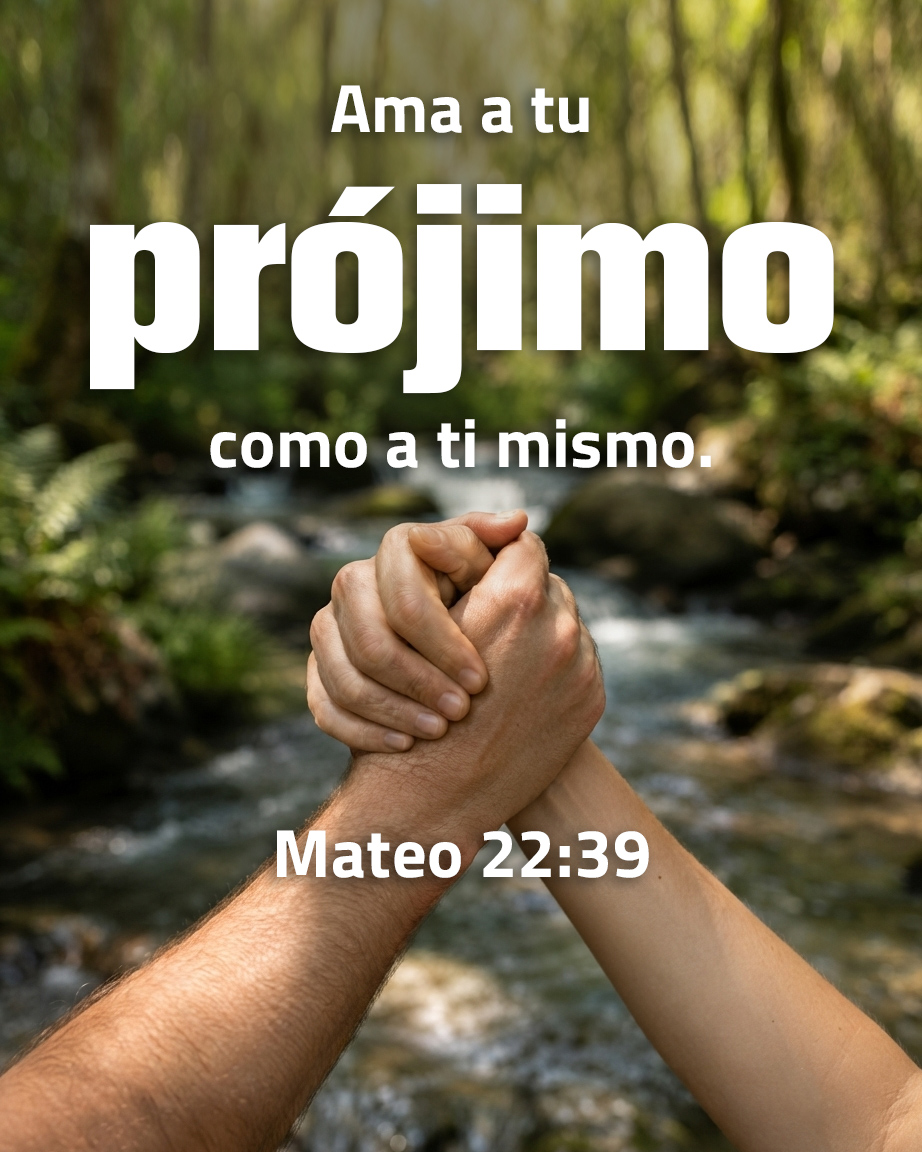 CercaEsta's tweet photo. Ama a tu prójimo como a ti mismo— Mateo 22:39
#projimo #mandamiento #semejante #obediencia #versiculo https://t.co/YrPVqObTJT
