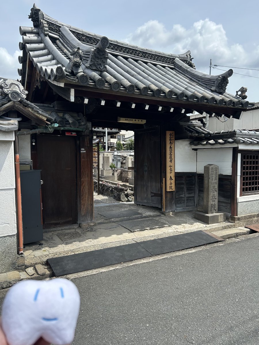 ytplg04's tweet photo. 秀長公ゆかりの春岳院へ参拝!
寺院の多い奈良県で最初に訪れたお寺でまさか御本尊様を拝観出来るとは思いませんでした😳✨
たまたま観光協会の人が解説してくれたのでこのお寺の歴史や秀長が大和郡山の街づくりにどう貢献したのかが色々聞けた上に秀長の肖像画も見る事が出来て大満足でした😄
#春岳院 https://t.co/ay959QlndA
