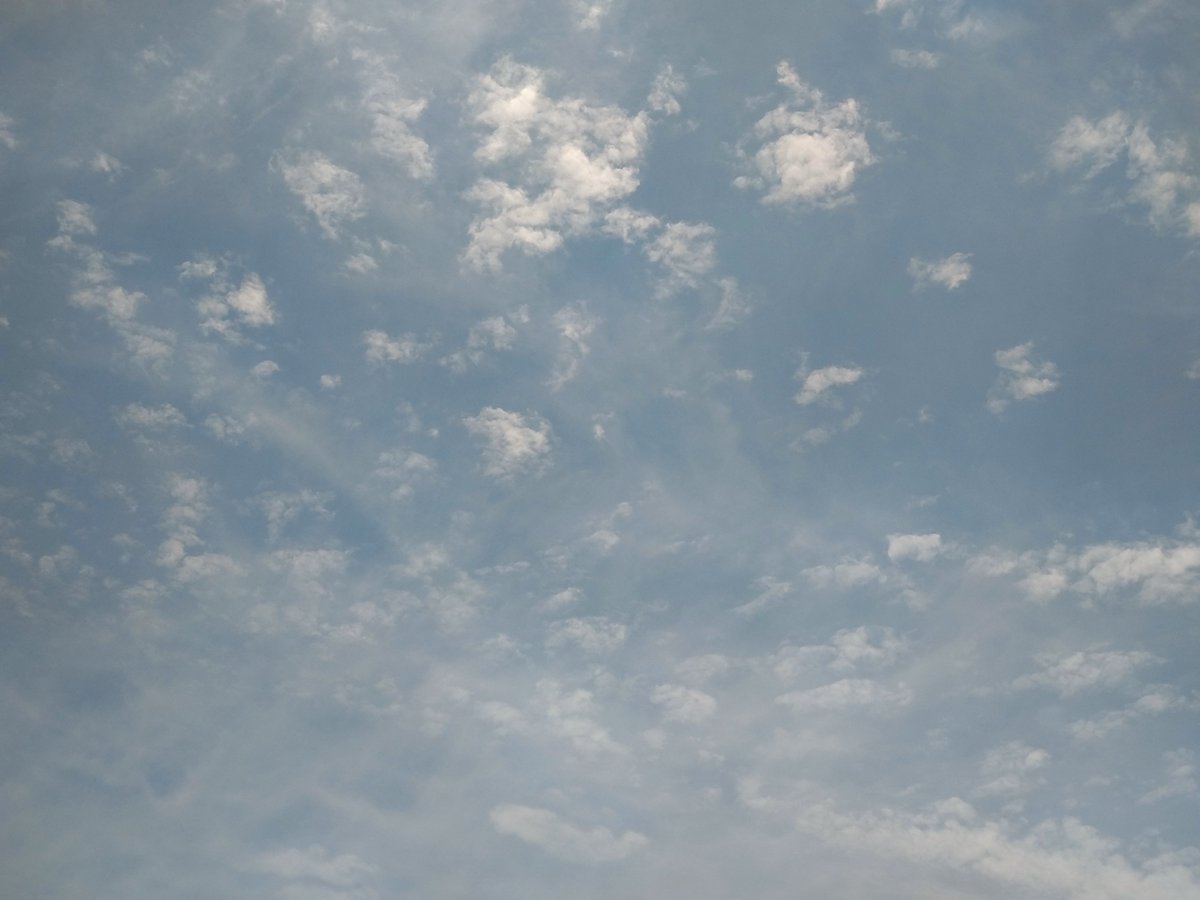 HAruWAccikaII's tweet photo. 八月九日
晴れ
かな

#イマソラ #空が好き https://t.co/bhlFBpAMj1