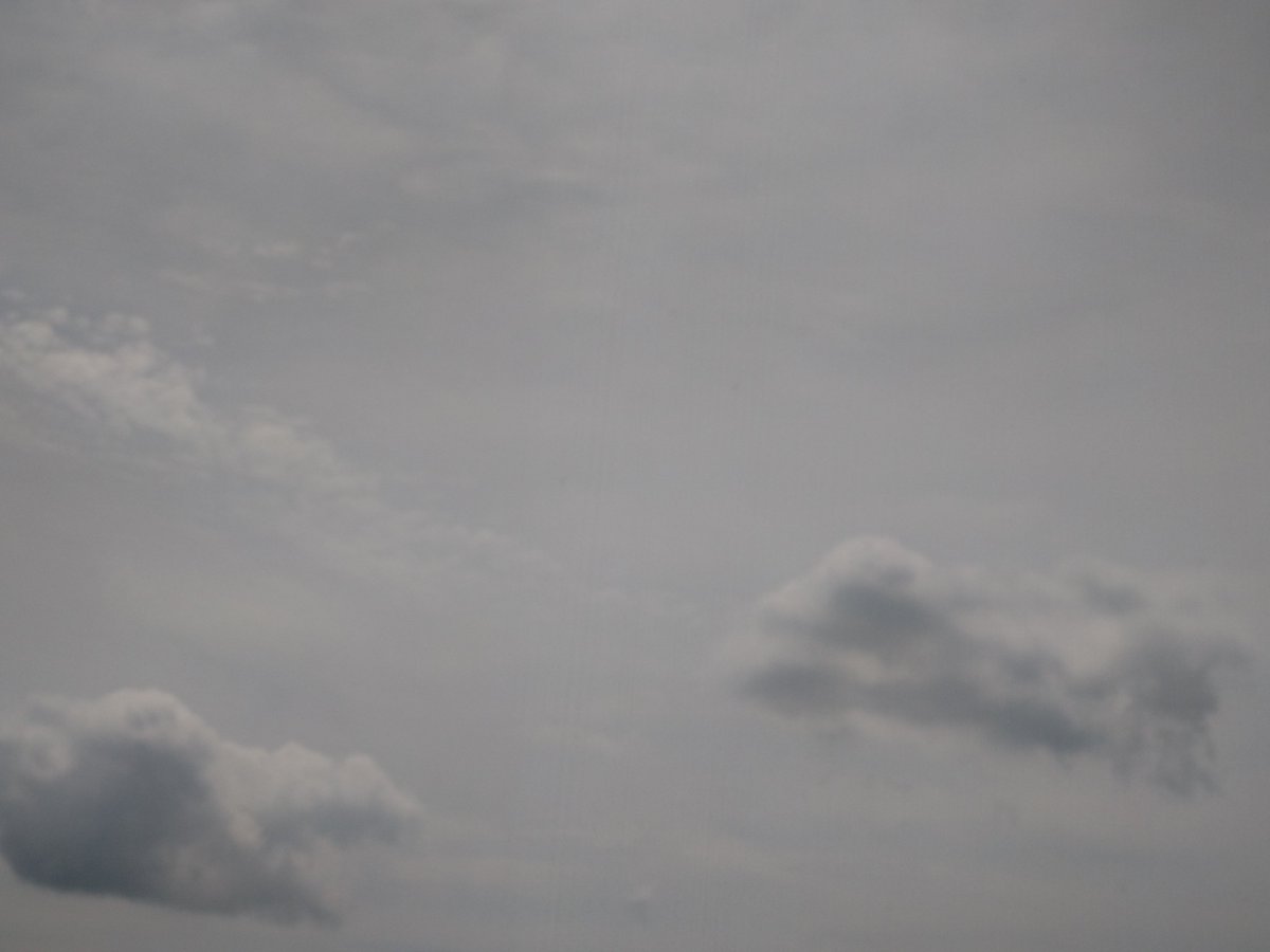 HAruWAccikaII's tweet photo. 八月九日
晴れ
かな

#イマソラ #空が好き https://t.co/bhlFBpAMj1