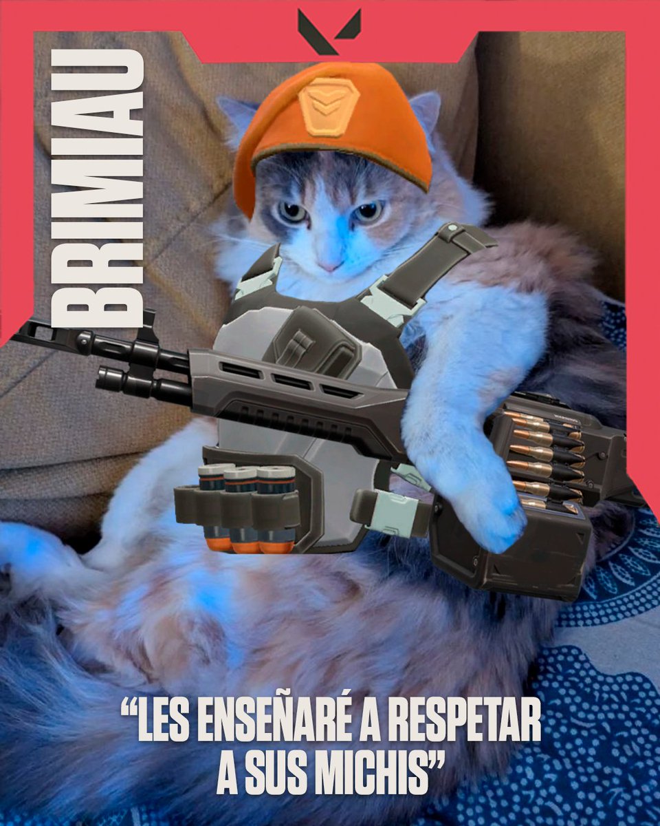 VALORANTLATAM's tweet photo. Los michis faltantes están tomando una siesta 🐾 https://t.co/dcarO2JK7r