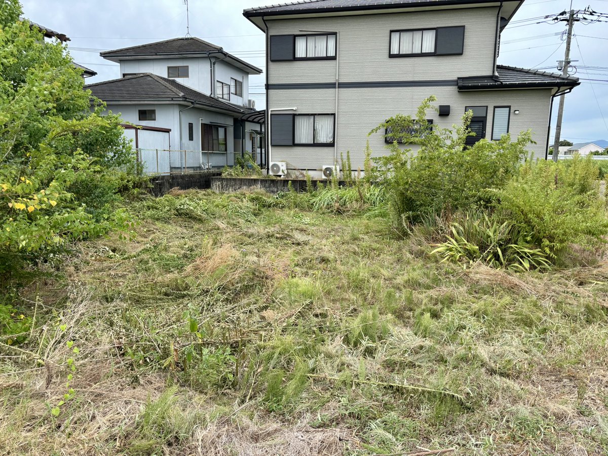 darshjojo's tweet photo. 畑の草刈り二日目
バッテリーも俺の腕も長く保たないから、やっと半分終わりましたσ(^_^;) https://t.co/Tu0Qsun8K3