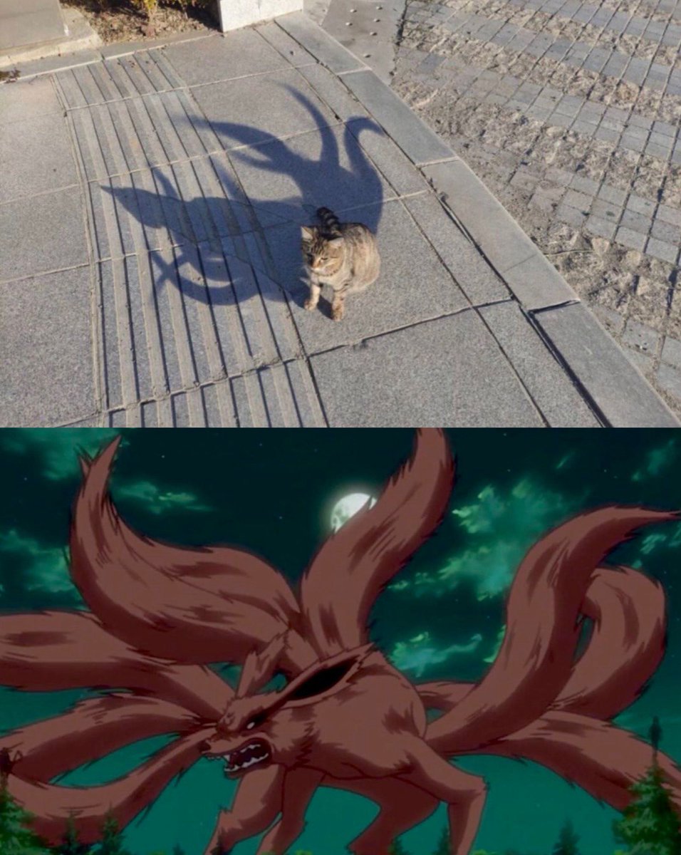 animeposts's tweet photo. 💀 https://t.co/L815y1FVlq