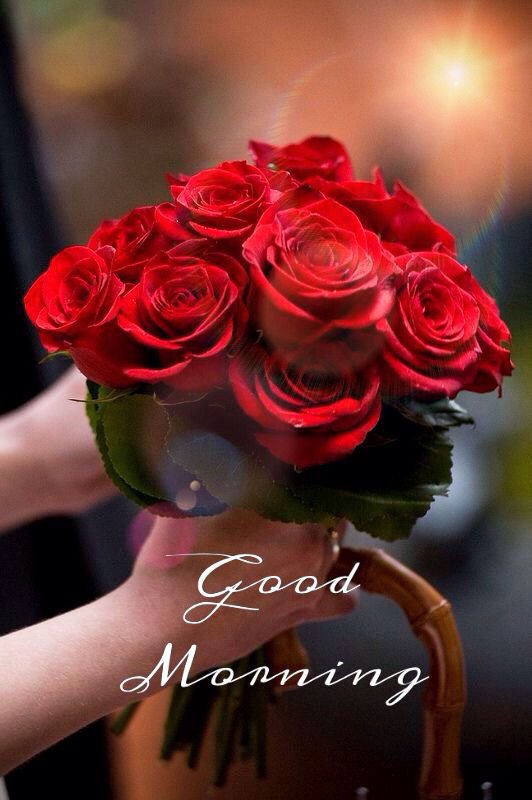 dipanshidubey01's tweet photo. Good morning everyone 
Have a nice day 😊 https://t.co/FGn7Cfkd5n