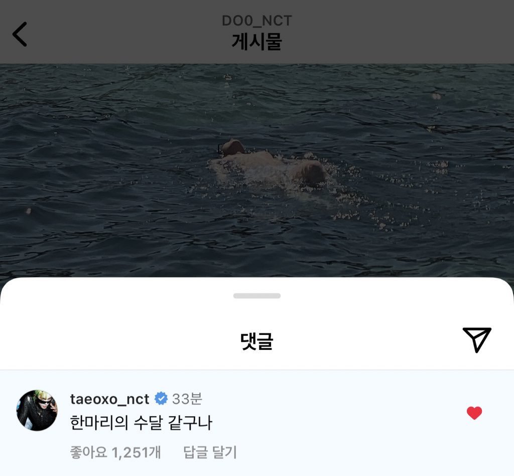 green_grape_0's tweet photo. 한마리의 수달 같구나 https://t.co/kt6mDxFFal
