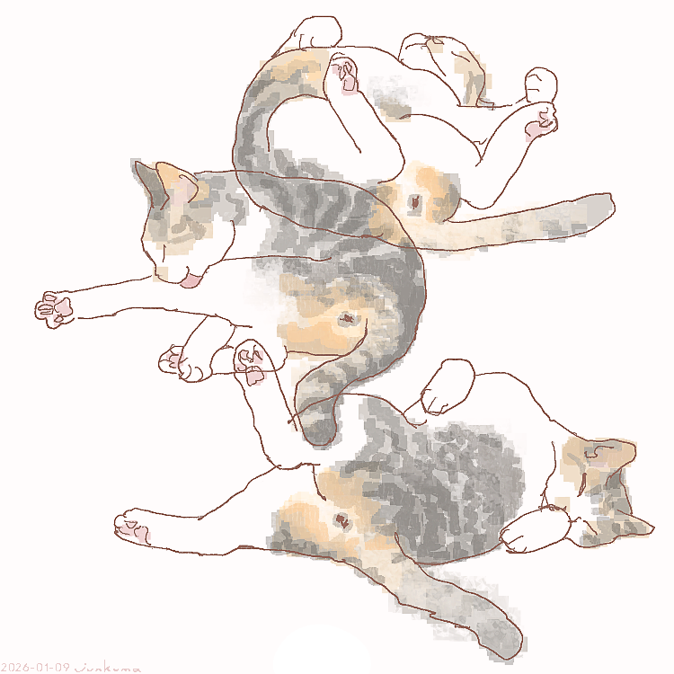 J_KMOR's tweet photo. 猫 https://t.co/jSYmb8Vb1h