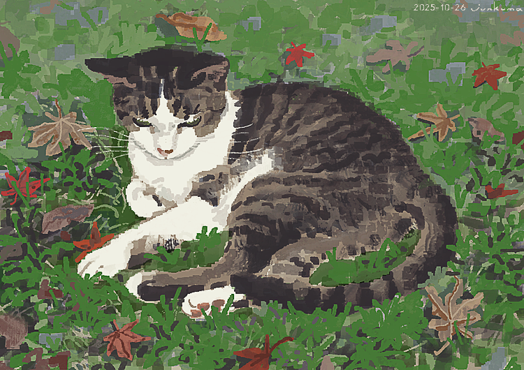J_KMOR's tweet photo. 猫 https://t.co/jSYmb8Vb1h