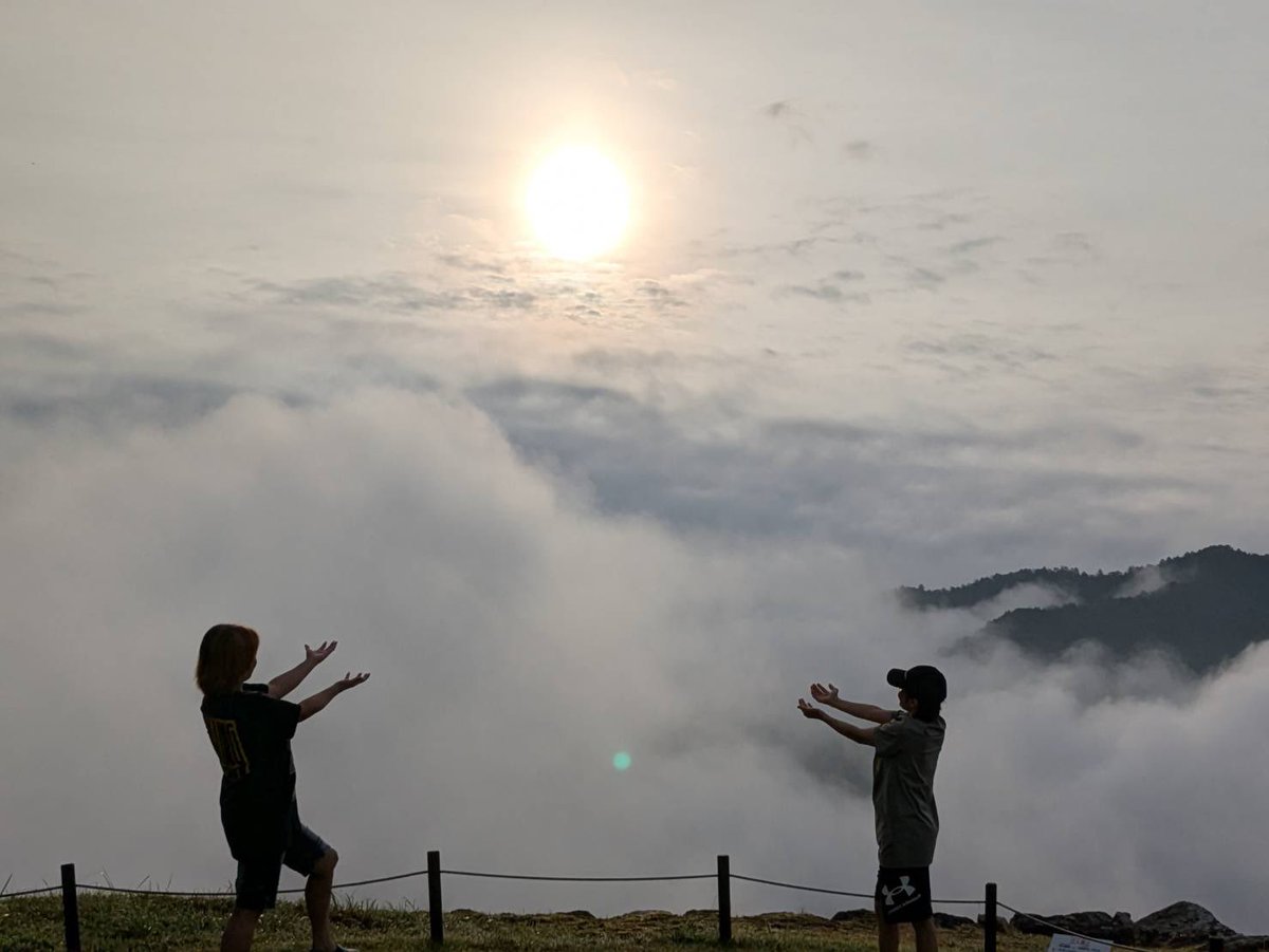 takeda_castle's tweet photo. 夏の雲海！
今日も大坂お城フェス、出展しています！ https://t.co/wgb34AJMRa