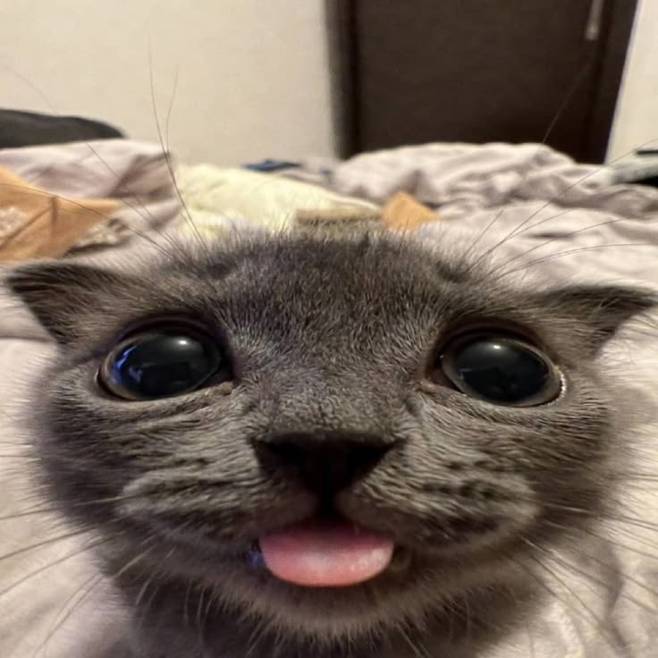 ki11yoo's tweet photo. bye bye everyoomf im gonna play a silly ass game https://t.co/IQCIjwvK4M