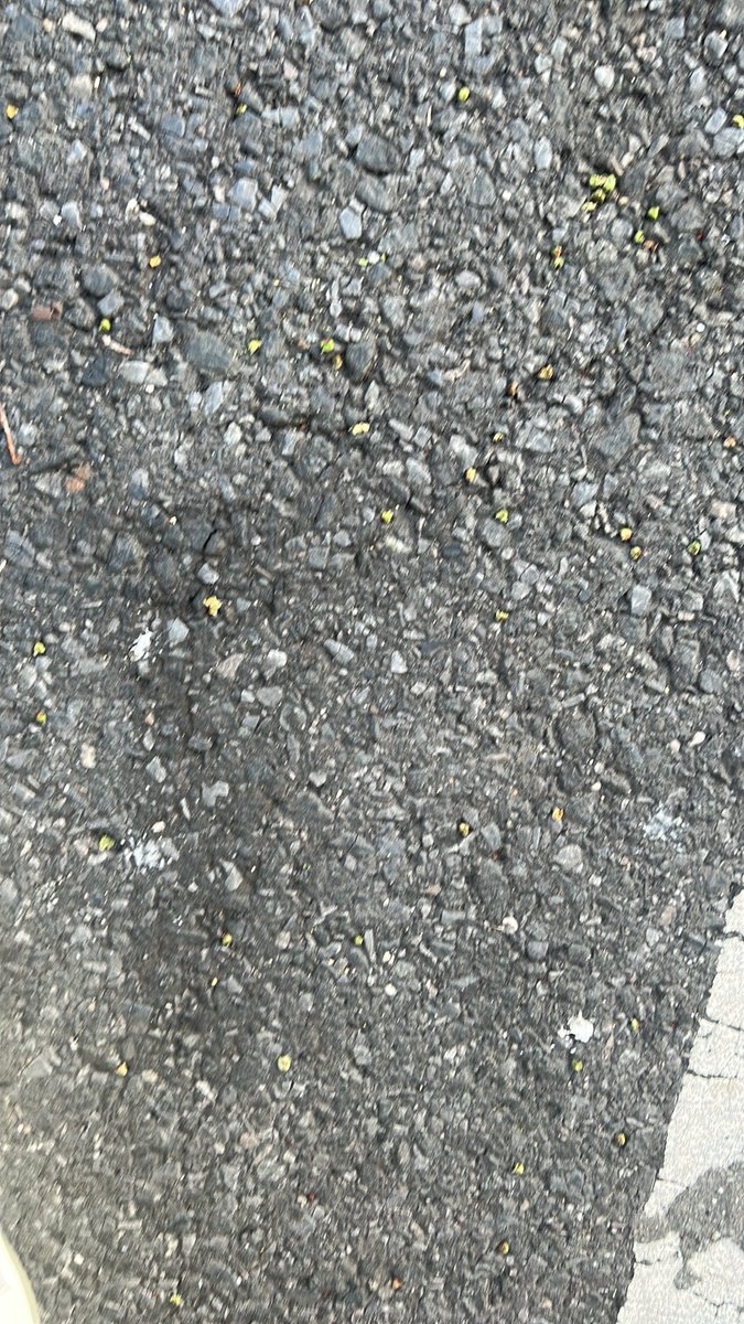 Jdoto6's tweet photo. Wtw Im trying to try something new everybody gmt  #nycmeets #nyclinks #nycfreaks #bronxfreaks #manhattanfreaks #bronxsneakylink #bronxny #harlemmeets https://t.co/FTkRYujVjO
