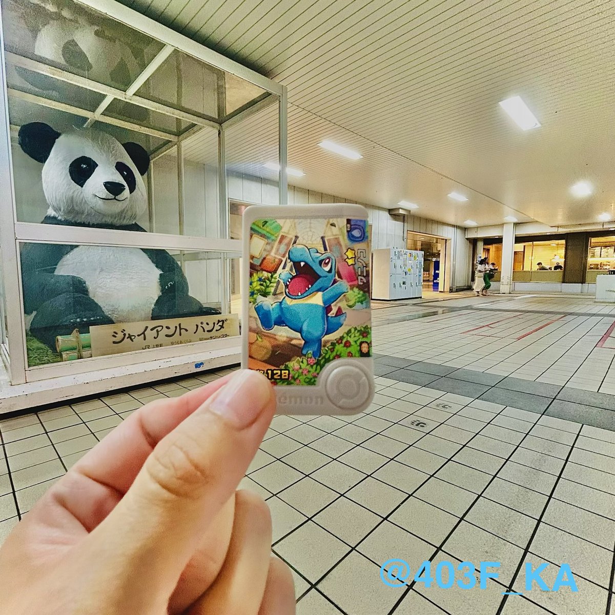 403F_KA's tweet photo. 上野駅でチコリータ・ヒノアラシ・ワニノコのスタンプをゲット🐼🐊🐼
スタンプのある入谷口（いりやぐち）にはジャイアントパンダ像がいます🐼🐘🦒 https://t.co/50qkZODaGd
