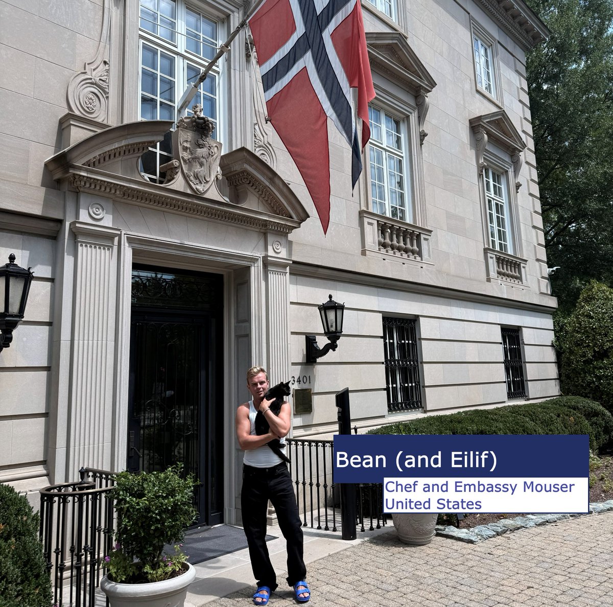 NorwayUS's tweet photo. We even have a resident Mouser!

After taking shelter with Chef Eilif during last winter's big storm, Bean was duly promoted to Head of Anti-Rodent Operations. https://t.co/mNAmFfeVnv