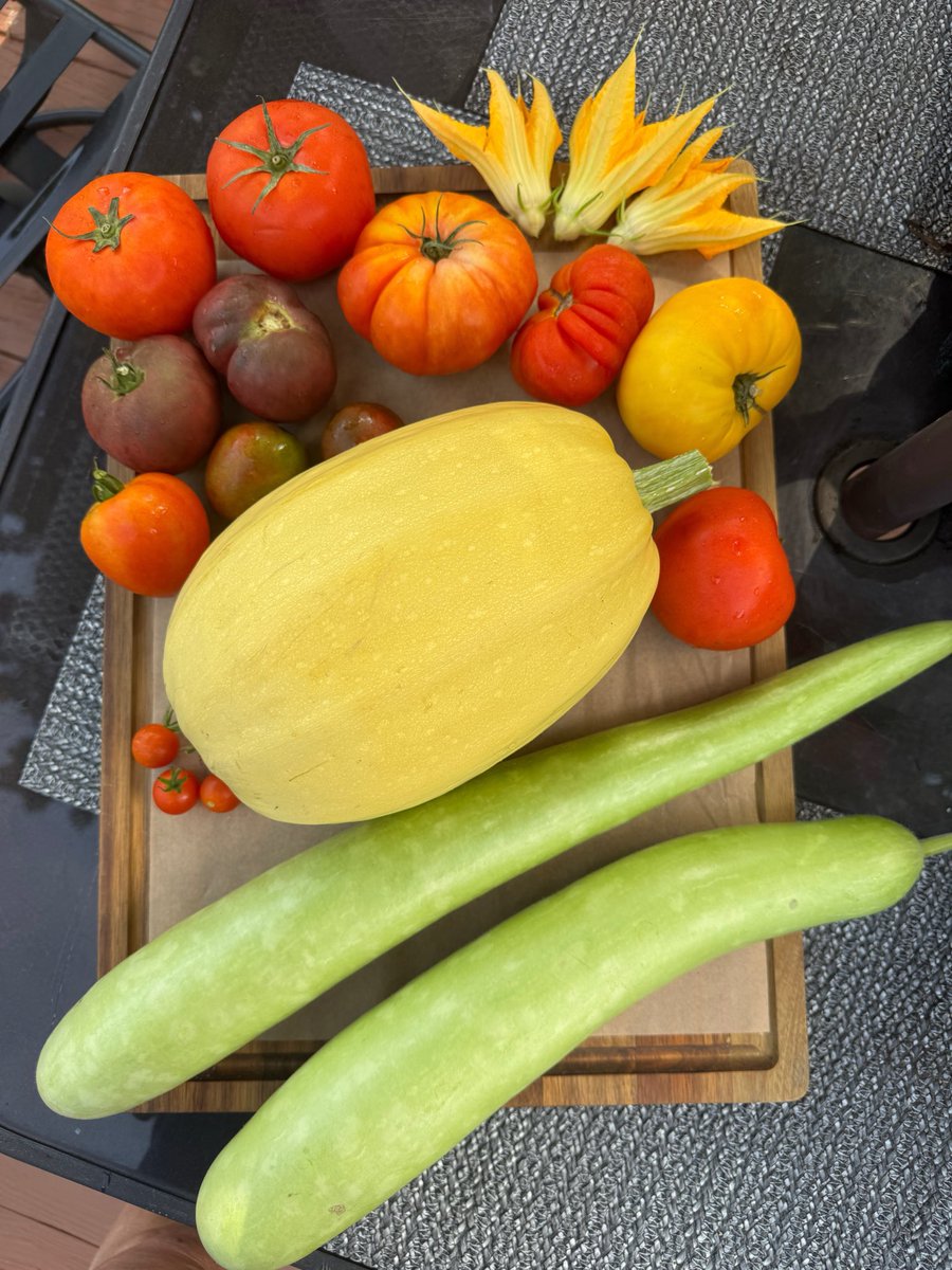 TinaMartino7's tweet photo. Garden face art is back ๐ along with todayโs beautiful harvest ๐ฉ๐ปโ๐พ๐
Happy Harvesting! #freshharvest #gardenart #tomatoes #spaghettisquash #cucuzza https://t.co/22wenG5D6d