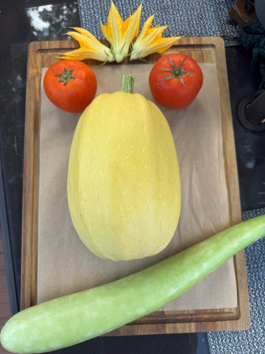 TinaMartino7's tweet photo. Garden face art is back ๐ along with todayโs beautiful harvest ๐ฉ๐ปโ๐พ๐
Happy Harvesting! #freshharvest #gardenart #tomatoes #spaghettisquash #cucuzza https://t.co/22wenG5D6d