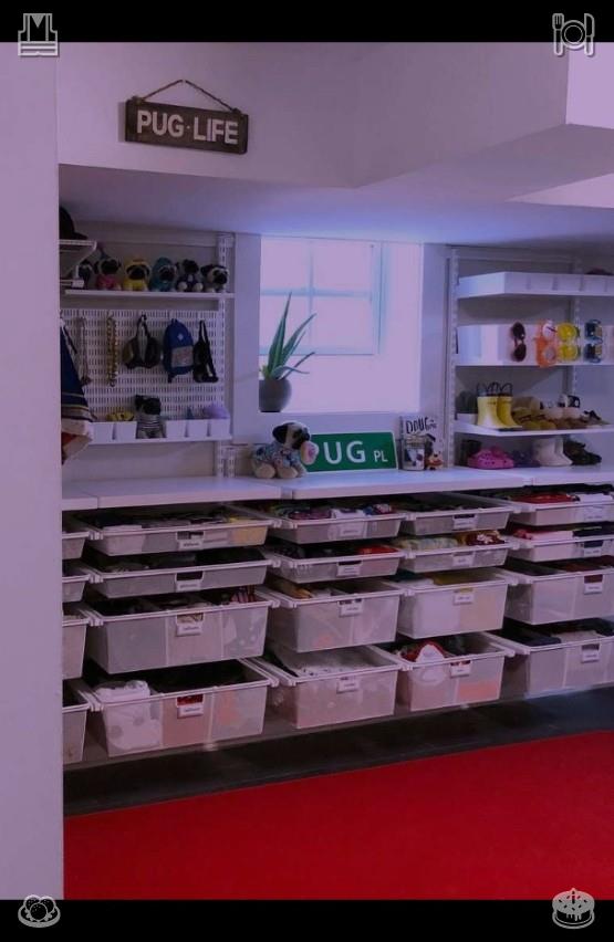 tabo_true's tweet photo. ⛹️Hamster Walk The food bowl is filled632939Collect raspberries Smoothie in winter https://t.co/x67dZ9iNoJ