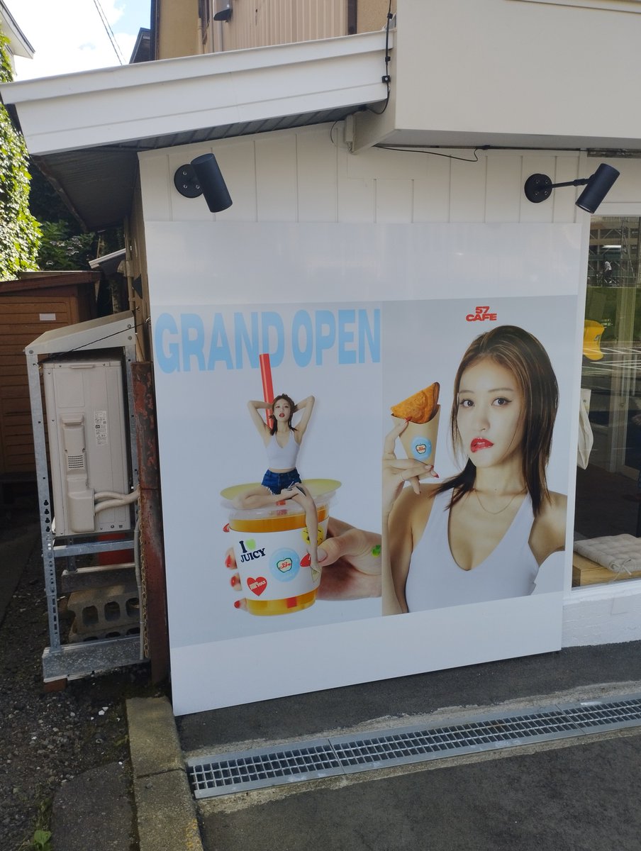 YoshidaEmilyyy's tweet photo. きのうはちょっと遠出してました🐢 https://t.co/4MZFeA9iSv