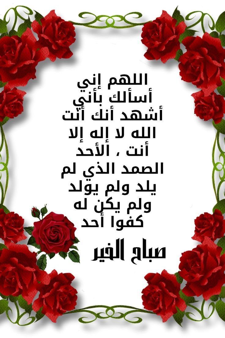 ZSaddoud's tweet photo. https://t.co/xd0YSLM7sa