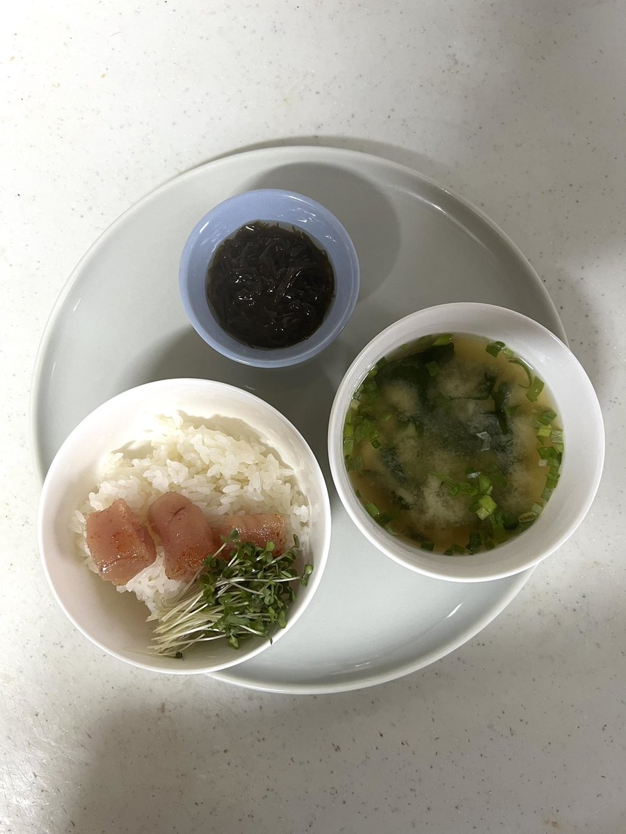 harenew1225's tweet photo. 明太子ごはん 味噌汁(おゆでとくもの)
もずく酢
写真には写ってないけど
ヨーグルトと豆乳は毎朝食べるようにしてる
(๑ ́ᄇ`๑)

#おうちごはん https://t.co/tzgGwo2wDS