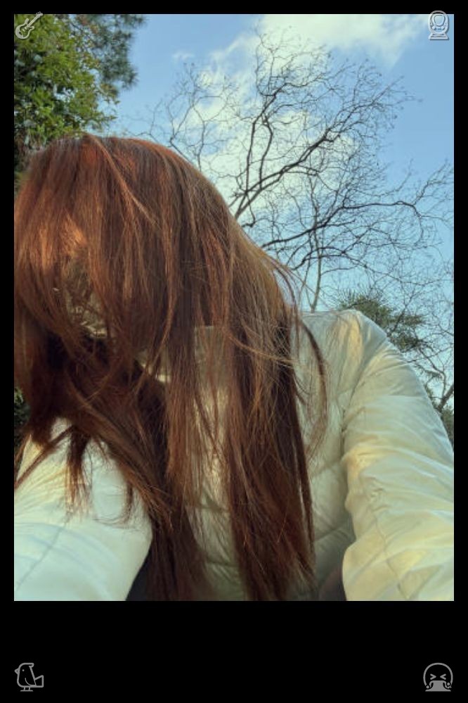 skeleton_omar's tweet photo. I settle onto a bench near the water, savoring the crisp breeze and the gentle chorus of birds overhead. Pulling out my notebook, I scan my list of dessert destinations, mapping out the rest of the afternoon's sweet stops. 🍦 Frosty Treats — the ice cream is served in generous https://t.co/HXCZSpsyYh