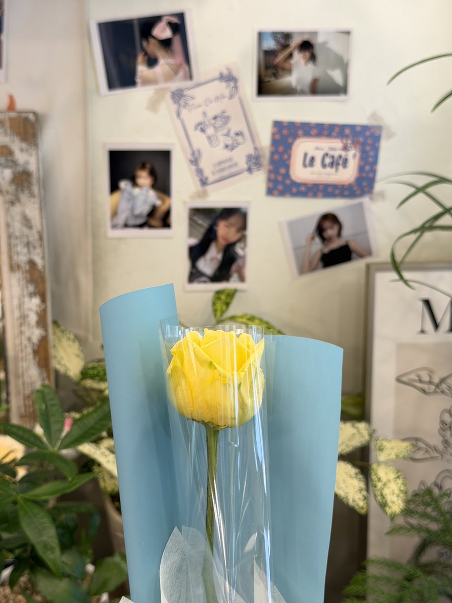 trAAbZwEW9UkvV6's tweet photo. @808y19b 
생일꽃. 그립감이 좋다~!
#메이와_함께_피어난_여름
#리센느 #rescene #메이 #May https://t.co/RNh5p3MgK2