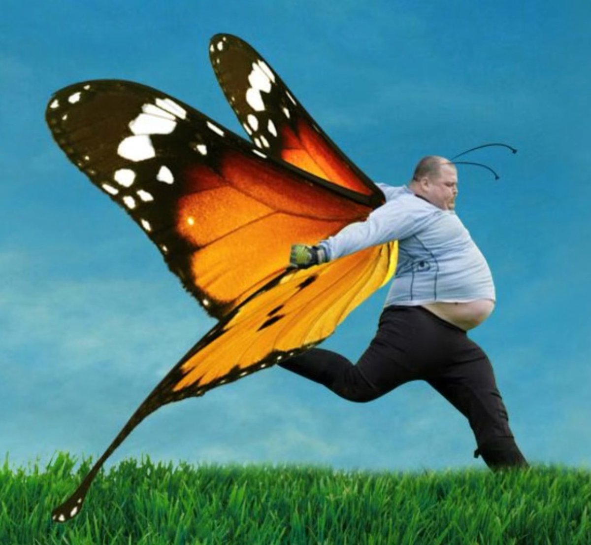 DukeDipplestein's tweet photo. metamorphosis https://t.co/i459xNv1Cc